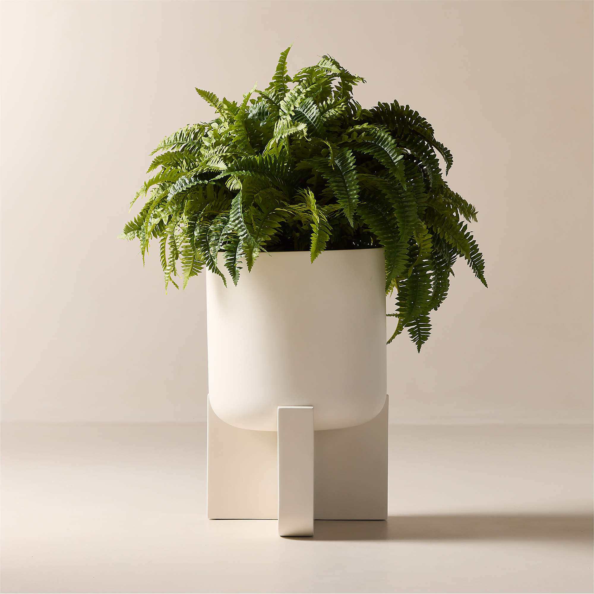 Verro White Cement Standing Planter Wide | CB2 | CB2