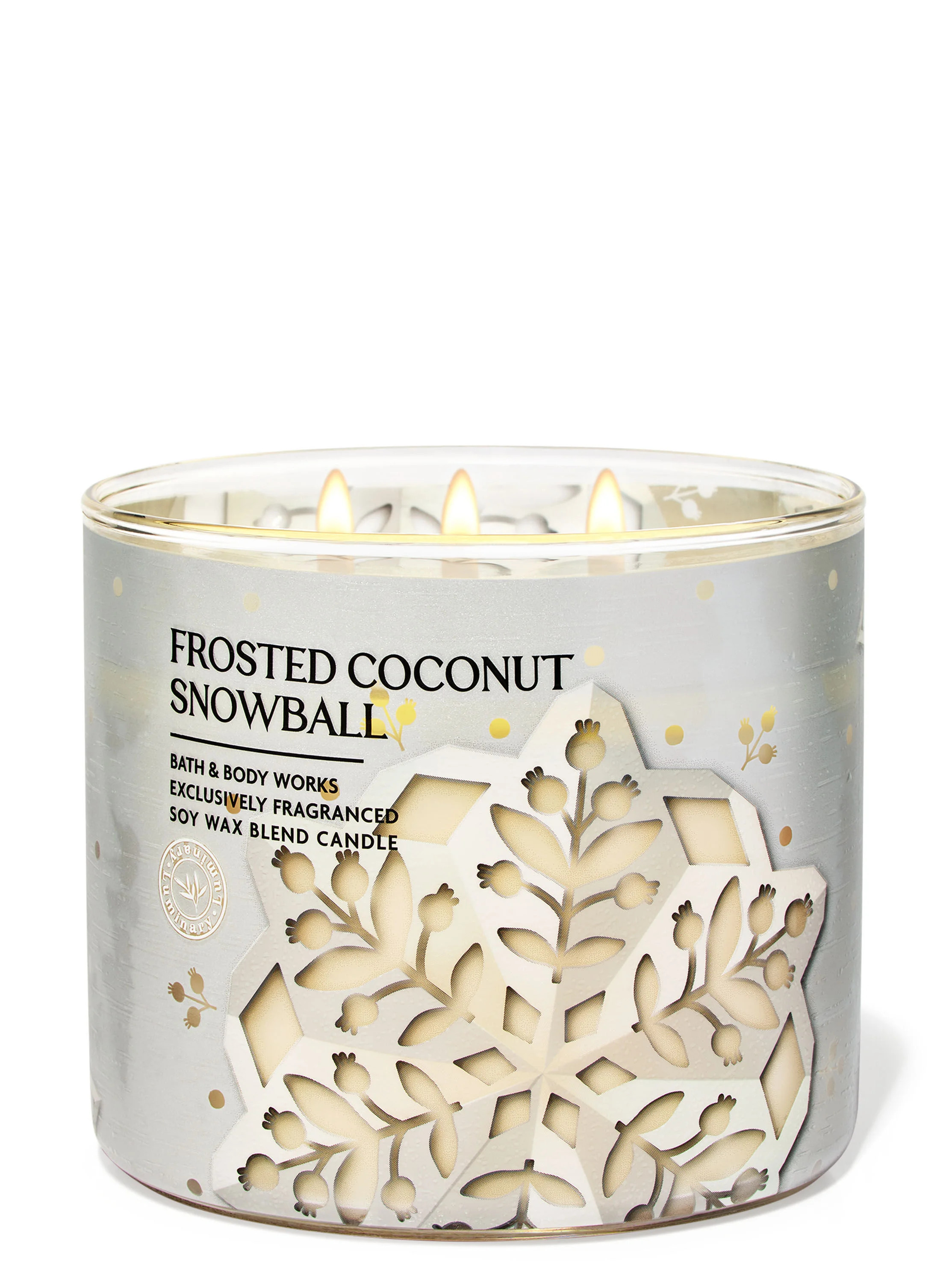 Frosted Coconut Snowball


3-Wick Candle | Bath & Body Works