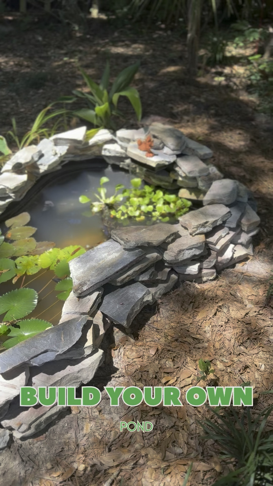 Build your backyard pond oasis! 

Gardening, koi pond, fish pond, pond plants, backyard sanctuary, garden tips, gardens, plant

#LTKHome #LTKFamily #LTKBeauty