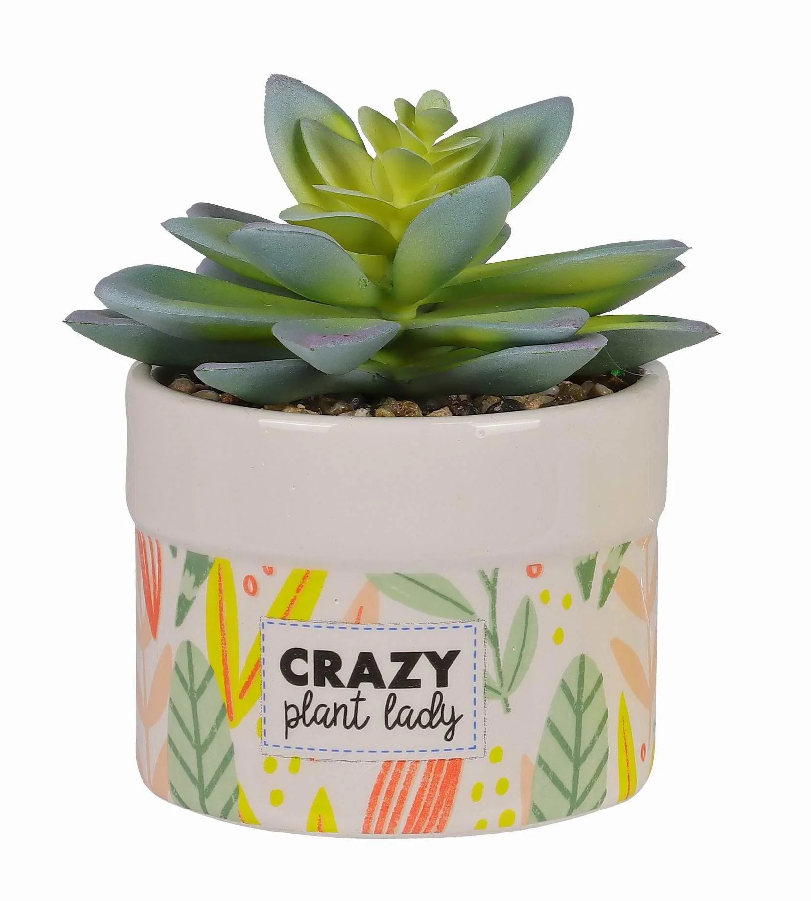 Way to Celebrate Planter Crazy Sign Decor | Walmart (US)