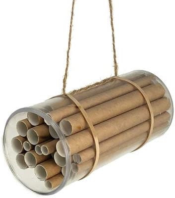Mason Bee House Activity Kit (100 Projects) | Amazon (US)