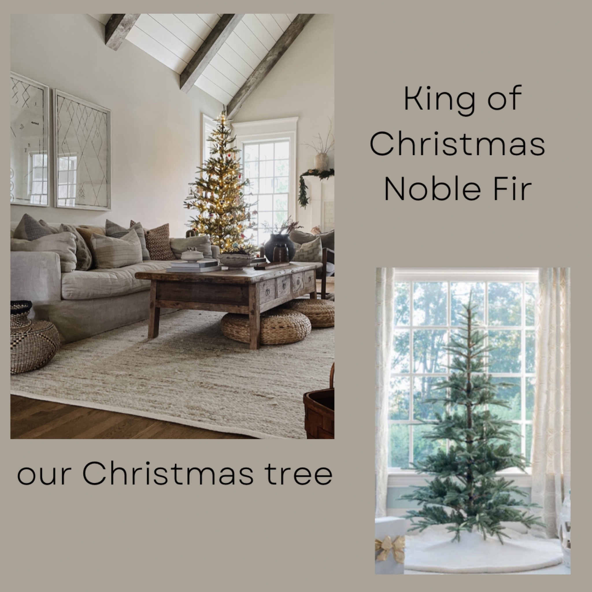 King of Christmas Noble Fir 

Christmas tree, Christmas decor , holiday decor 


#LTKsalealert #LTKSeasonal #LTKHoliday