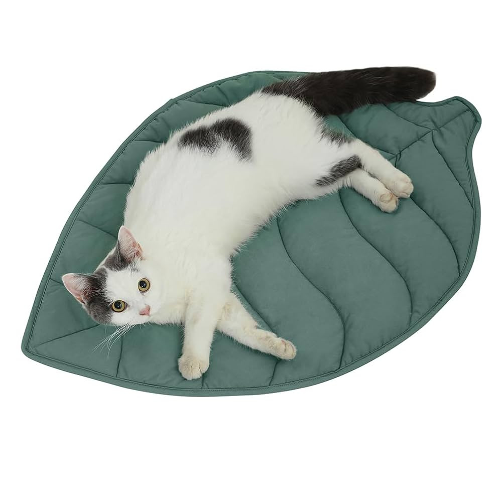 30 X 20 Inch Leaf Shaped Cotton Cat Bed Pad, Warming Cat Mat, Pet Warming Pad for Cats, Warmer Ma... | Amazon (US)