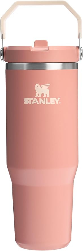 Stanley IceFlow 2.0 Flip Straw Tumbler with Handle 30 oz | Twist On Lid and Flip Up Straw | Leak ... | Amazon (US)