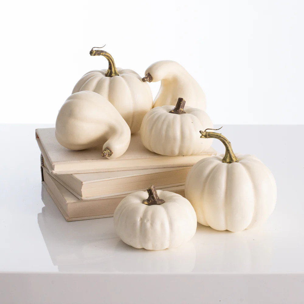 White Cream Pumpkin & Gourd Thanksgiving Fall Harvest Home Decor - Set of 6 | Darby Creek Trading