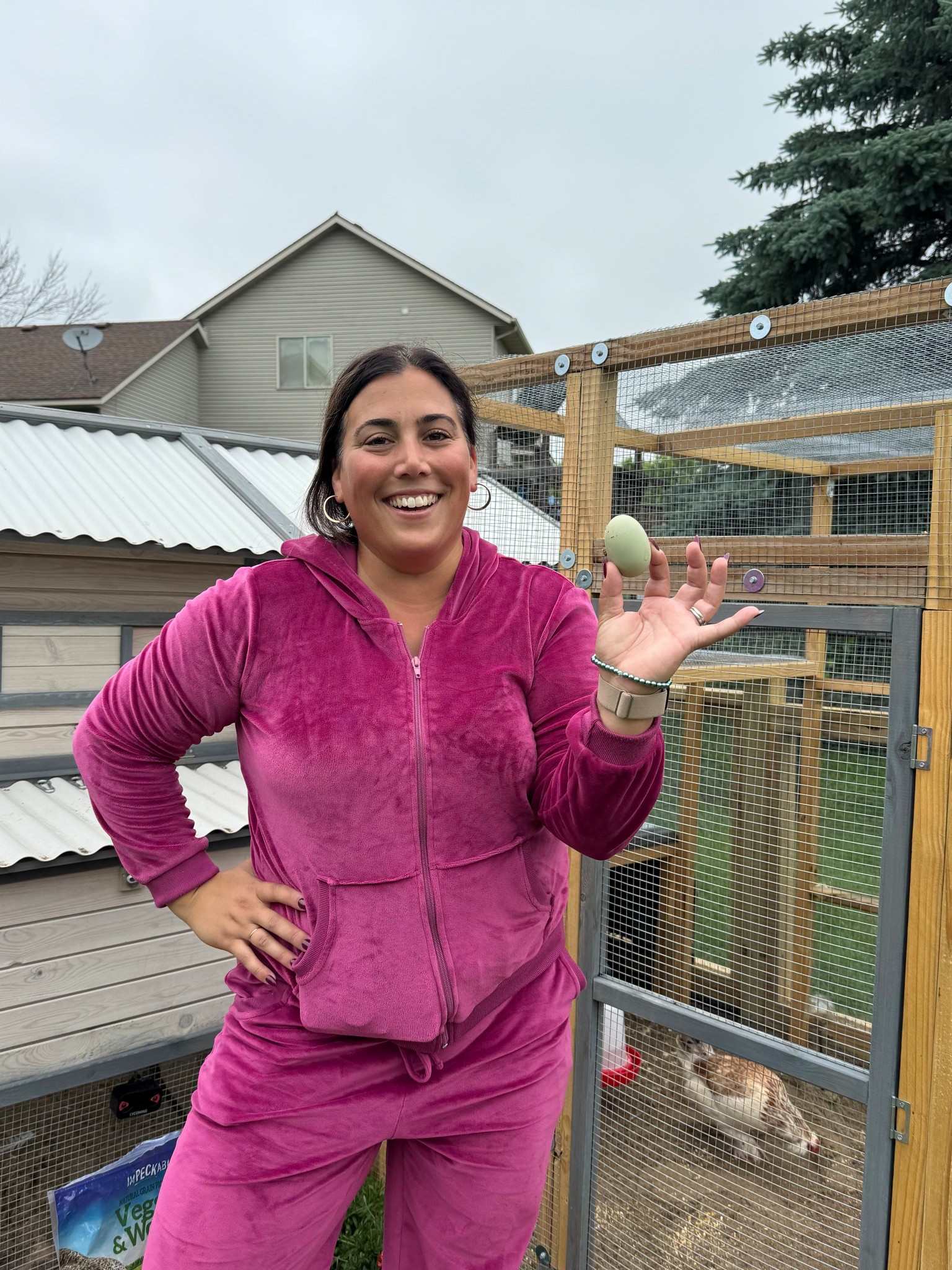 I’m not like a regular mom.. I’m a chicken mom.

One of my four laying hens finally laid her first egg!! I’ve had these gals since mid-April and they’ve finally reached laying age. 

It was a complete accident that I found this egg while wearing my Amy Poehler tribute jumpsuit and got to have a ‘cool mom’ moment 🥰

I’m wearing a large and love the extra room it gives me.

This is a velour sweatsuit so not exactly ideal for summer BUT an easy, no neurons outfit to throw on for dozens of other reasons and occasions. 



#LTKMidsize #LTKTravel #LTKActive