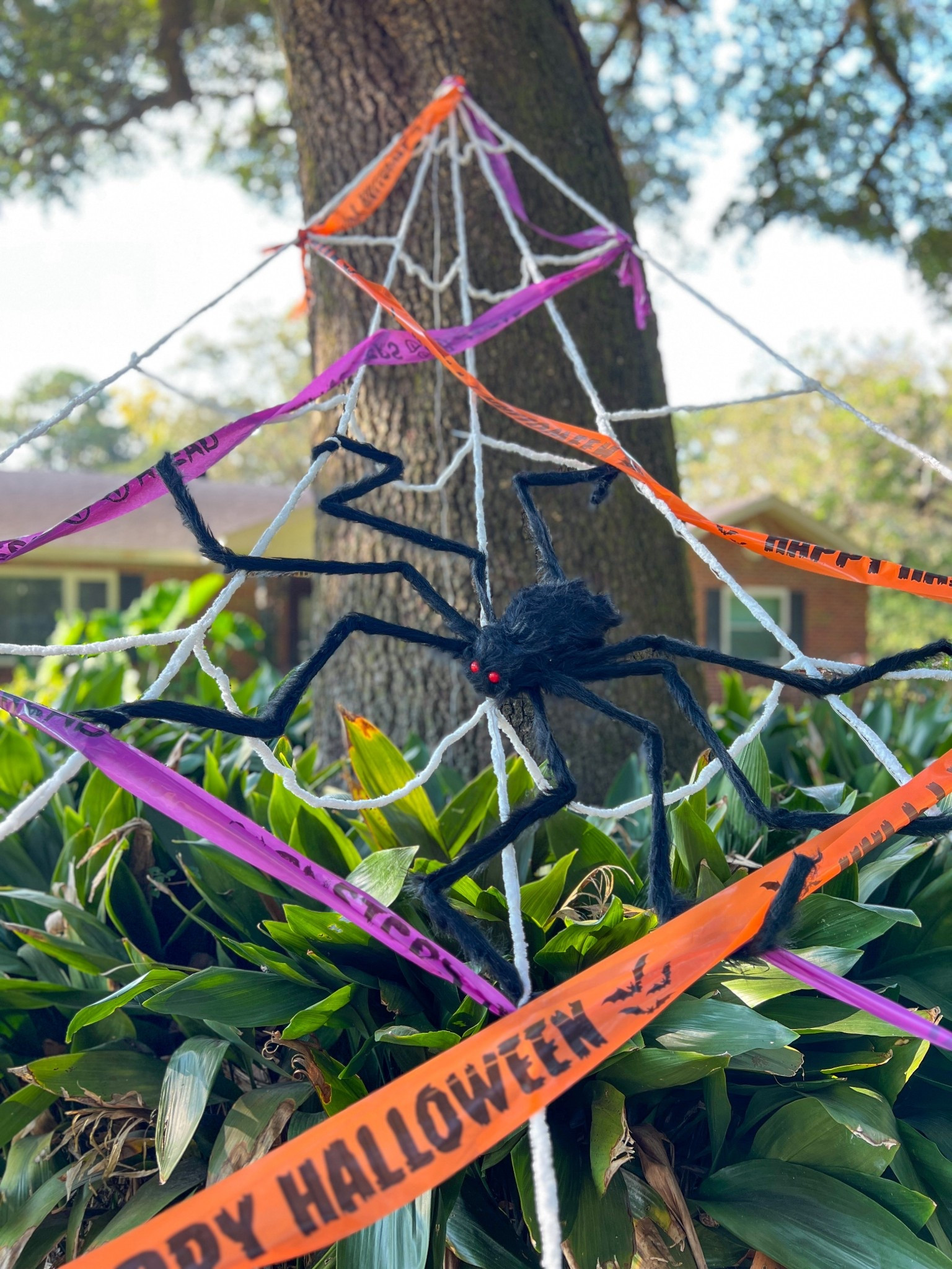 🕸️🕷 Creepy, crawly, and oh-so-fun! This giant pre-lit spider web with glowing purple lights + oversized black spider is the ultimate statement piece for spooky season. Paired with Halloween-themed orange & purple caution tape, it instantly transforms your yard into a haunted hangout 👻✨.

Tap to shop the web, spider, and festive tape to recreate this spooky (but fun!) Halloween vibe at home! 🎃💜🧡
#Halloween #HomeDecor #FrontPorchDecor

#LTKSeasonal #LTKHome #LTKHalloween