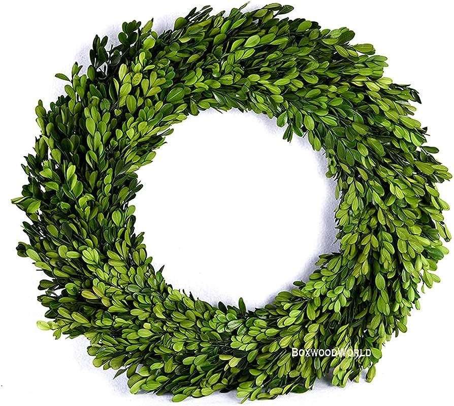 Amazon.com: Boxwood Wreath Large 17 inch Preserved Nature Real Boxwood Wreath Home Decor Stay Fre... | Amazon (US)