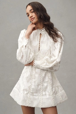 BHLDN Long-Sleeve High-Neck Floral A-Line Mini Dress | Anthropologie (US)