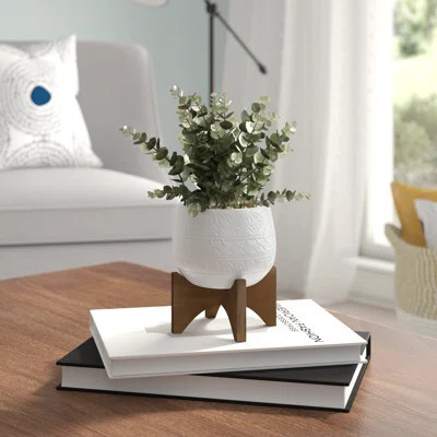 3.5" Artificial Eucalyptus Plant in Planter | Wayfair North America