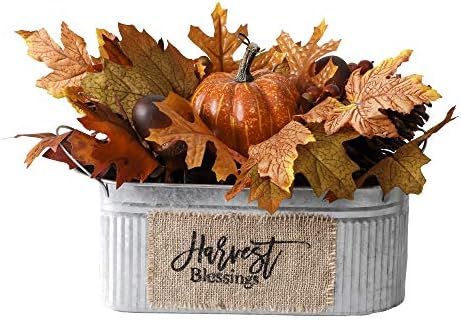 Valery Madelyn Fall Decor Arrangement, Pumpkin Maple Leaves Acorn Pine Cone in Metal Planter for ... | Amazon (US)