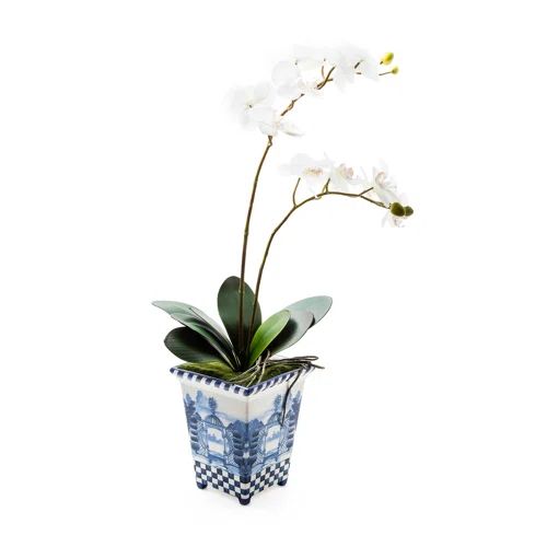 Royal Toile Potted Orchid - Medium | Wayfair North America