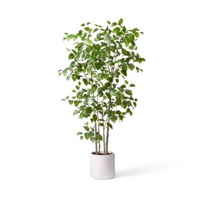 7ft Faux Natal Mahogany Tree in Pot - Hilton Carter for Target | Target