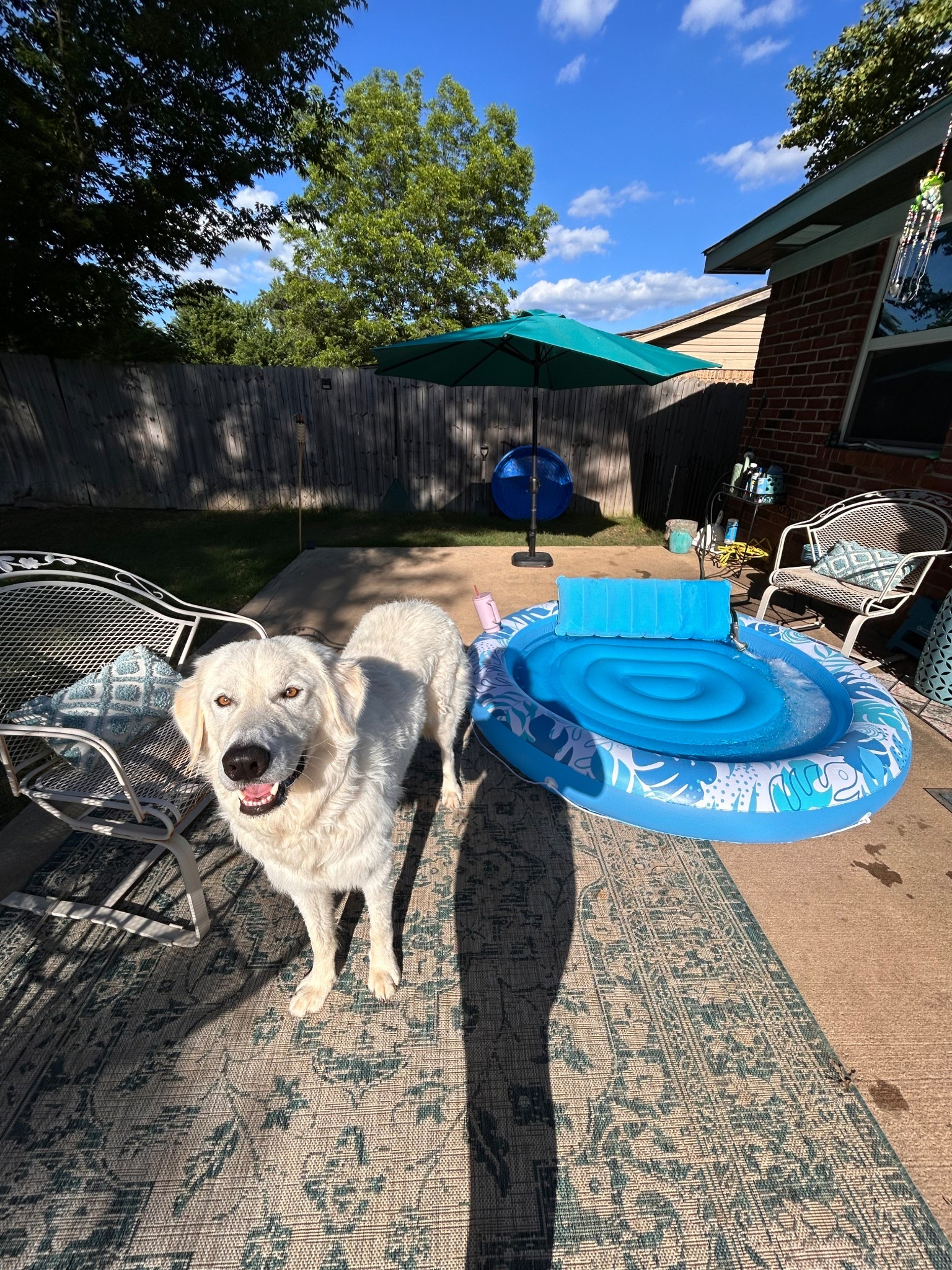 Love this tanning pool for summer! So does Titus 🤣 #tanningpool #summertime

#LTKSummerEdit