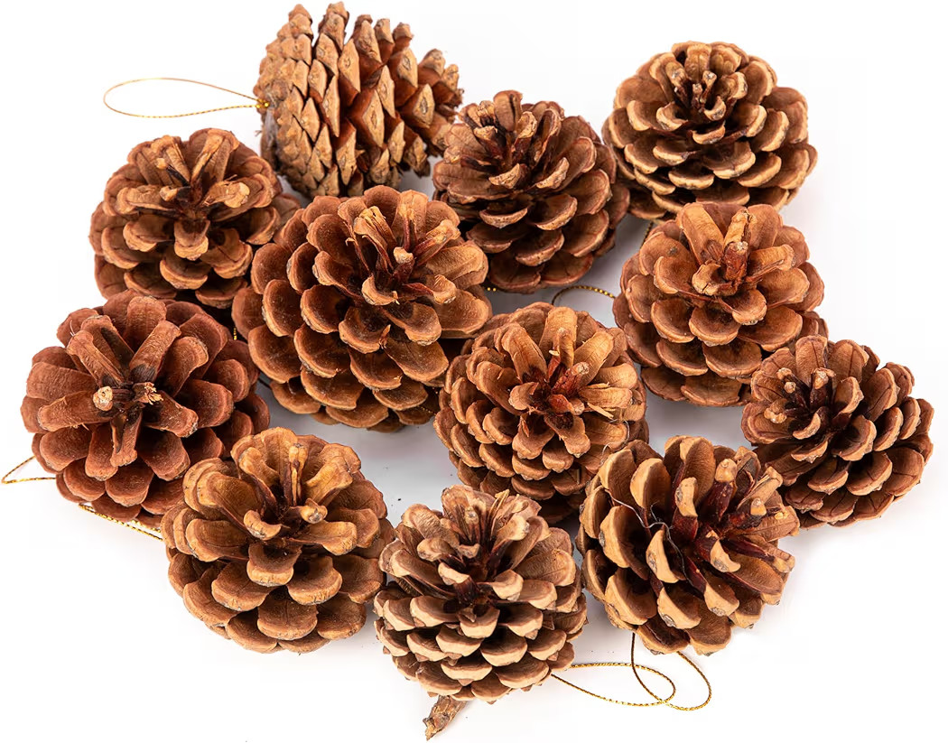 12 Pcs Big Size Natural Pine Cones with Strings, 2"-3.5" Rustic Pinecones Bulk Christmas Hanging ... | Amazon (US)