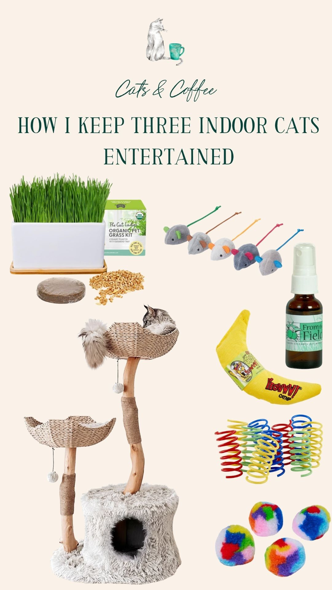 How I Keep Three Indoor Cats Entertained 🐾 Indoor cat enrichment ideas that actually work for a multi-cat household. These are the toys, trees, and activities my three indoor cats rotate through daily. Keeping them mentally stimulated doesn't have to be complicated or expensive 

 #LTKstorytime #LTKSeasonal #LTKHome