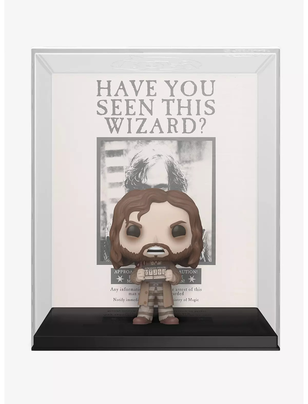 Funko Pop! Harry Potter and the Prisoner of Azkaban Sirius Black Poster Vinyl Figure | BoxLunch