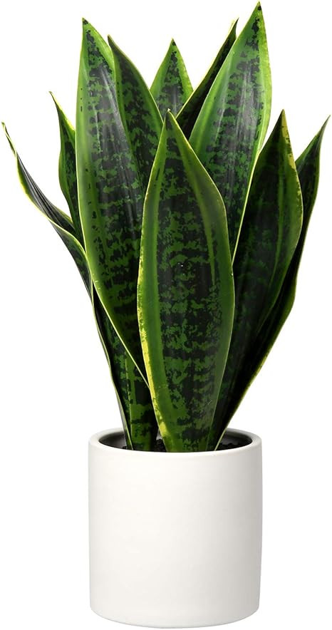 Fake Snake Plant 16" Faux Potted Plant Artificial Snake Plant with White Ceramic Pot Sansevieria ... | Amazon (US)