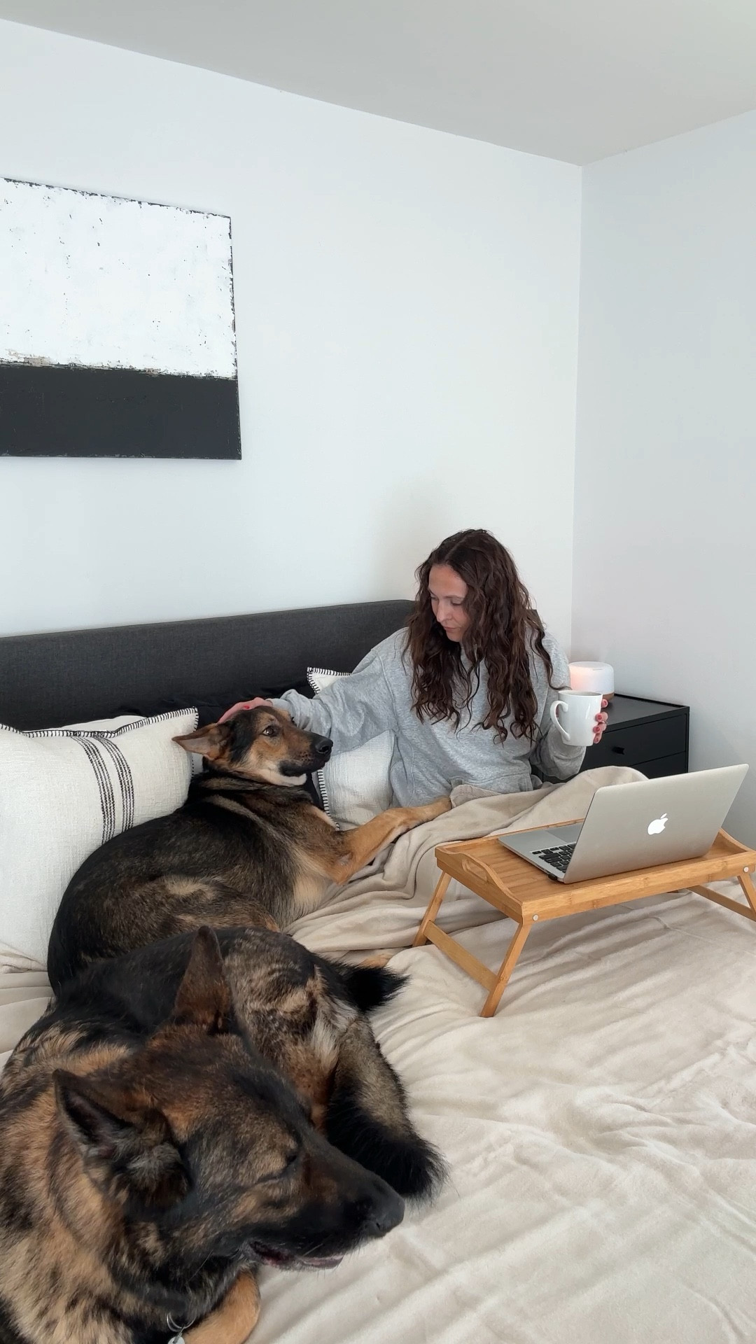 Reversible cotton blankets that are pet friendly and actually get softer with each wash?! Yes please! They’re luxurious and the perfect weight for cuddling up in the fall and winter months. 

#LTKHome #LTKGiftGuide #LTKCyberWeek