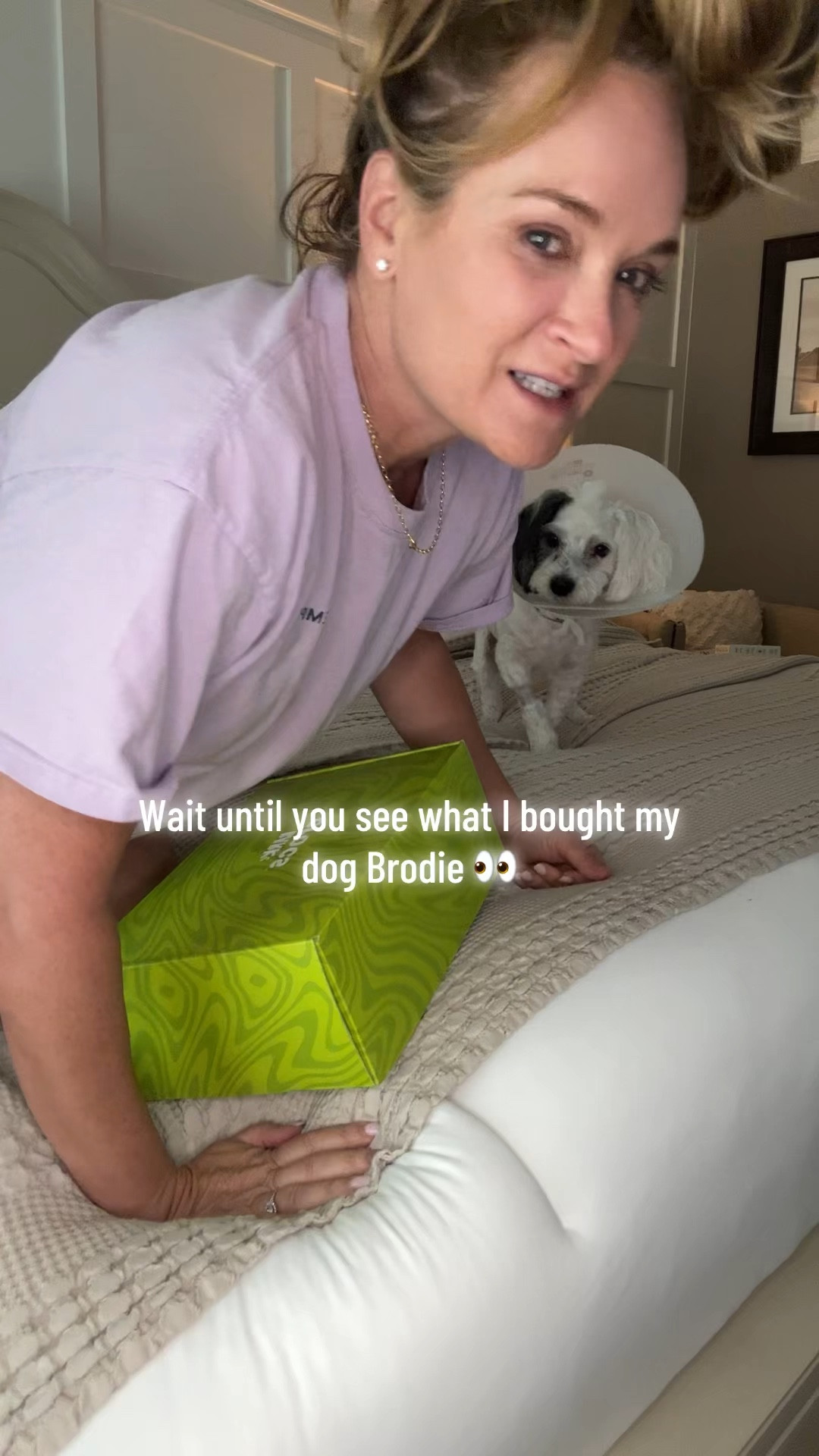 My dogs gift after surgery. #dogs #crocs #pets #dog #bichon #poodle #dogowner #dogllover 