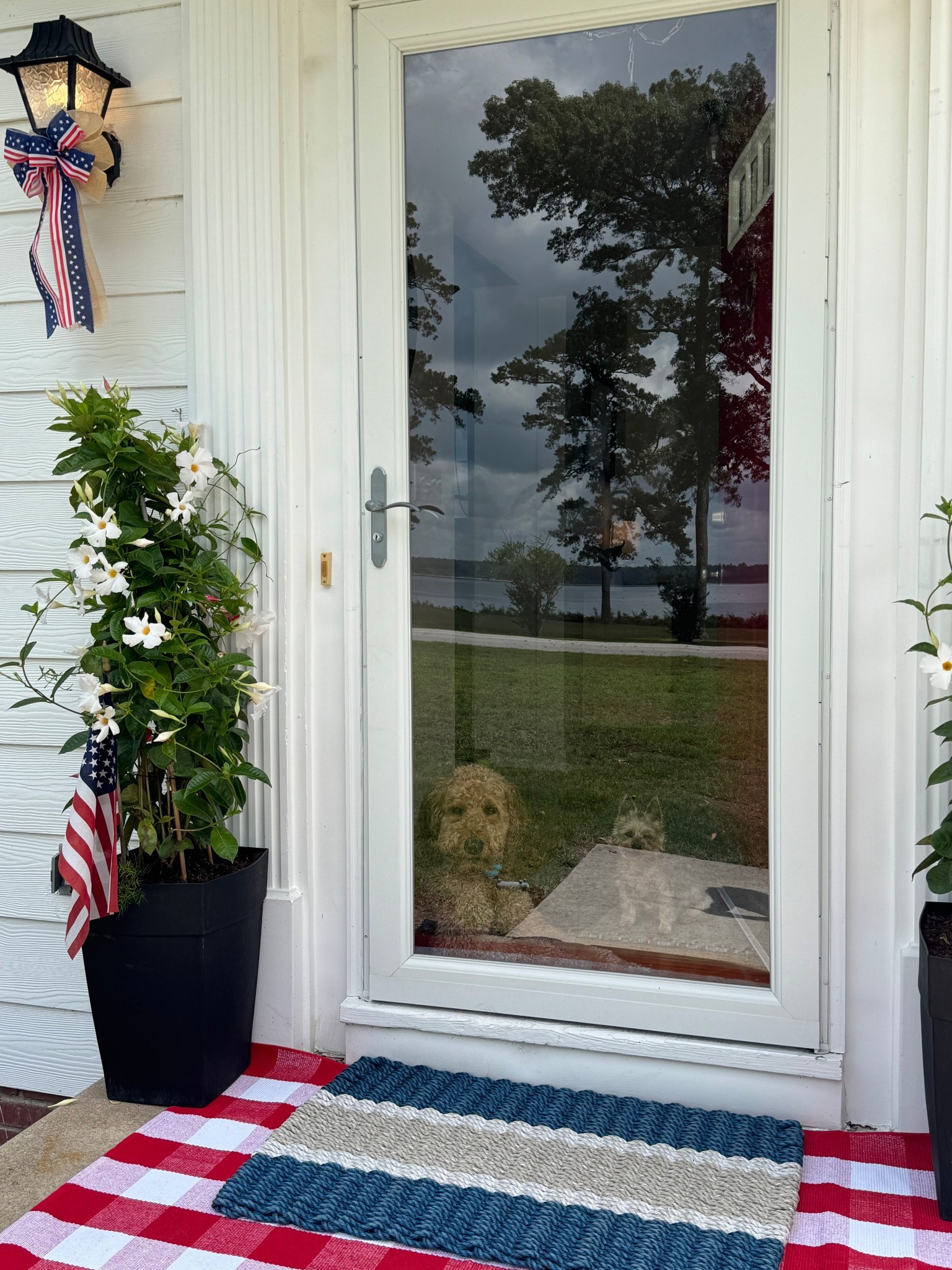 🇺🇸🇺🇸

#LTKFindsUnder50 #LTKSeasonal