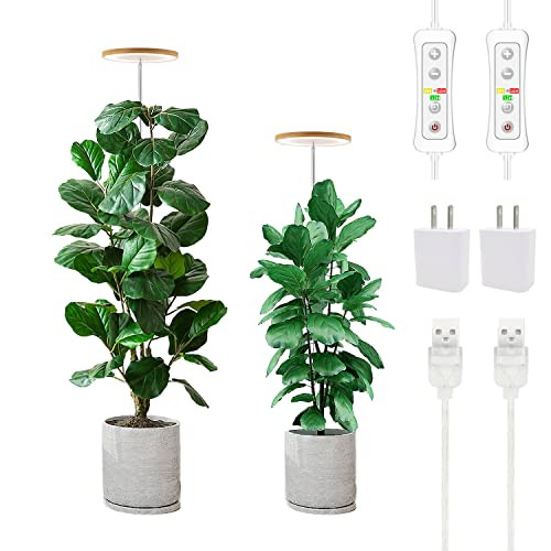 yadoker Plant Grow Light, LED Growing Light Full Spectrum for Indoor Plants,Height Adjustable, Automatic Timer, 5V Low Safe Voltage,Idea for Large Plant Light | Amazon (US)