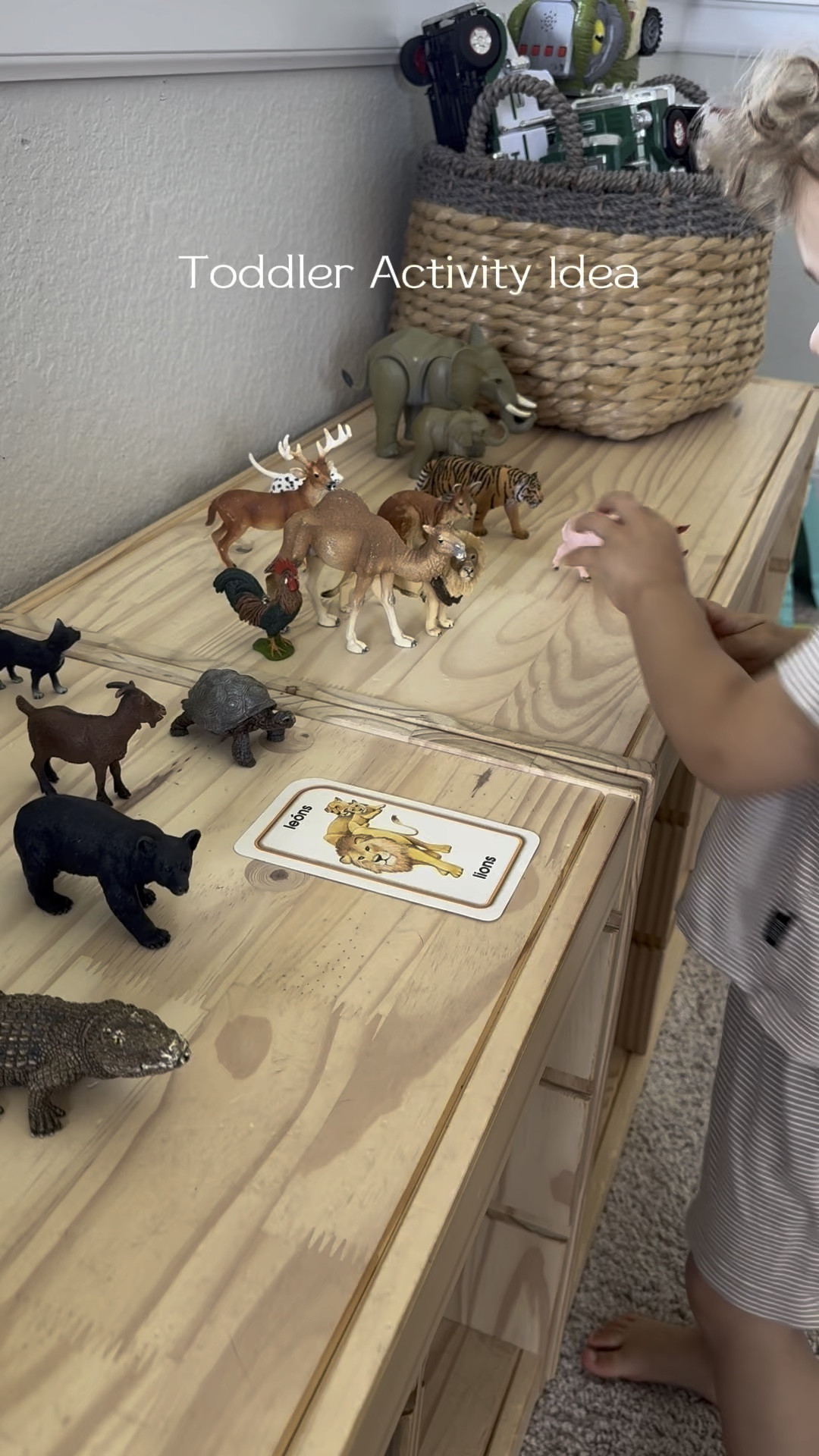 Toddler animal matching activity 

#LTKFamily #LTKKids