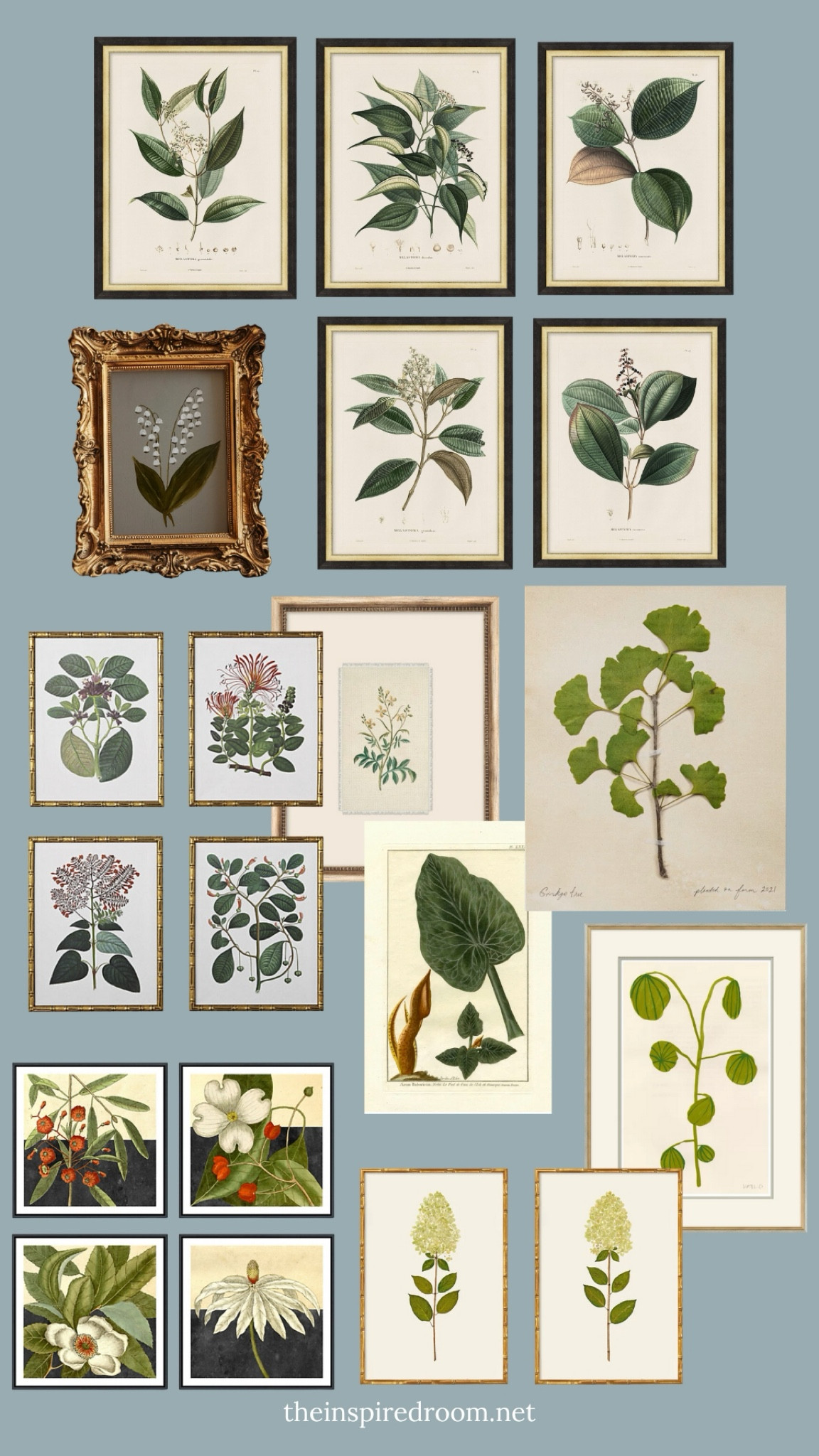 Pretty botanical artwork - spring decorating

#LTKSeasonal #LTKStyleTip #LTKHome