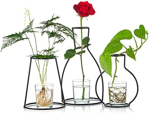 Nuptio Set of 3 Creative Desktop Planter Set with Glass Cup Vases Iron Metal Stand for Water Plan... | Amazon (US)