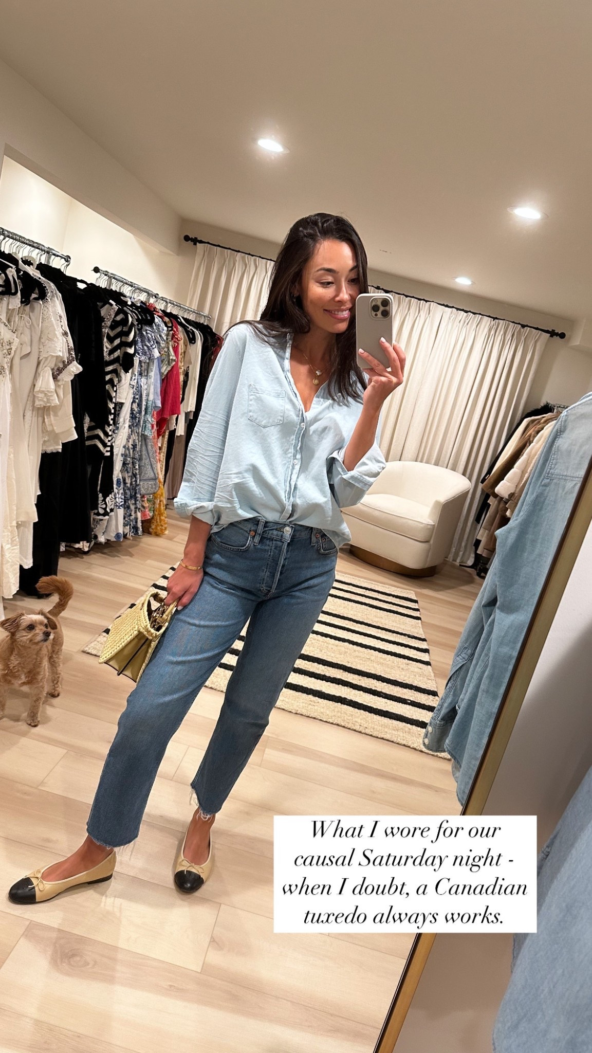 Canadian tuxedo, denim on denim, chambray, Chanel ballet flats, Fendi bag, walk in closet. 

#LTKShoeCrush #LTKItBag #LTKSeasonal