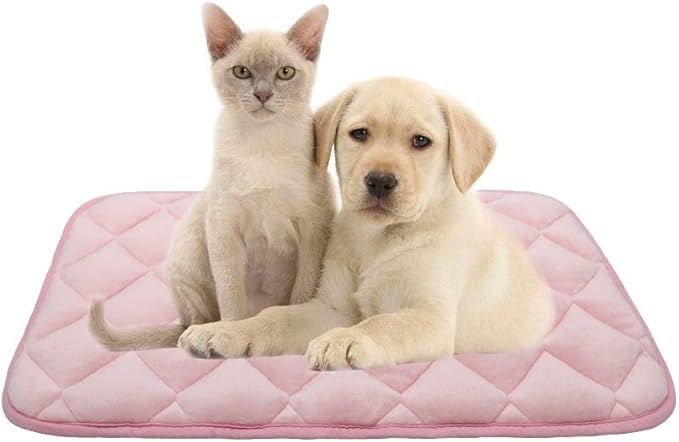 Furrybaby Dog Bed Mat Soft Crate Mat with Anti-Slip Bottom Machine Washable Pet Mattress for Dog ... | Amazon (US)