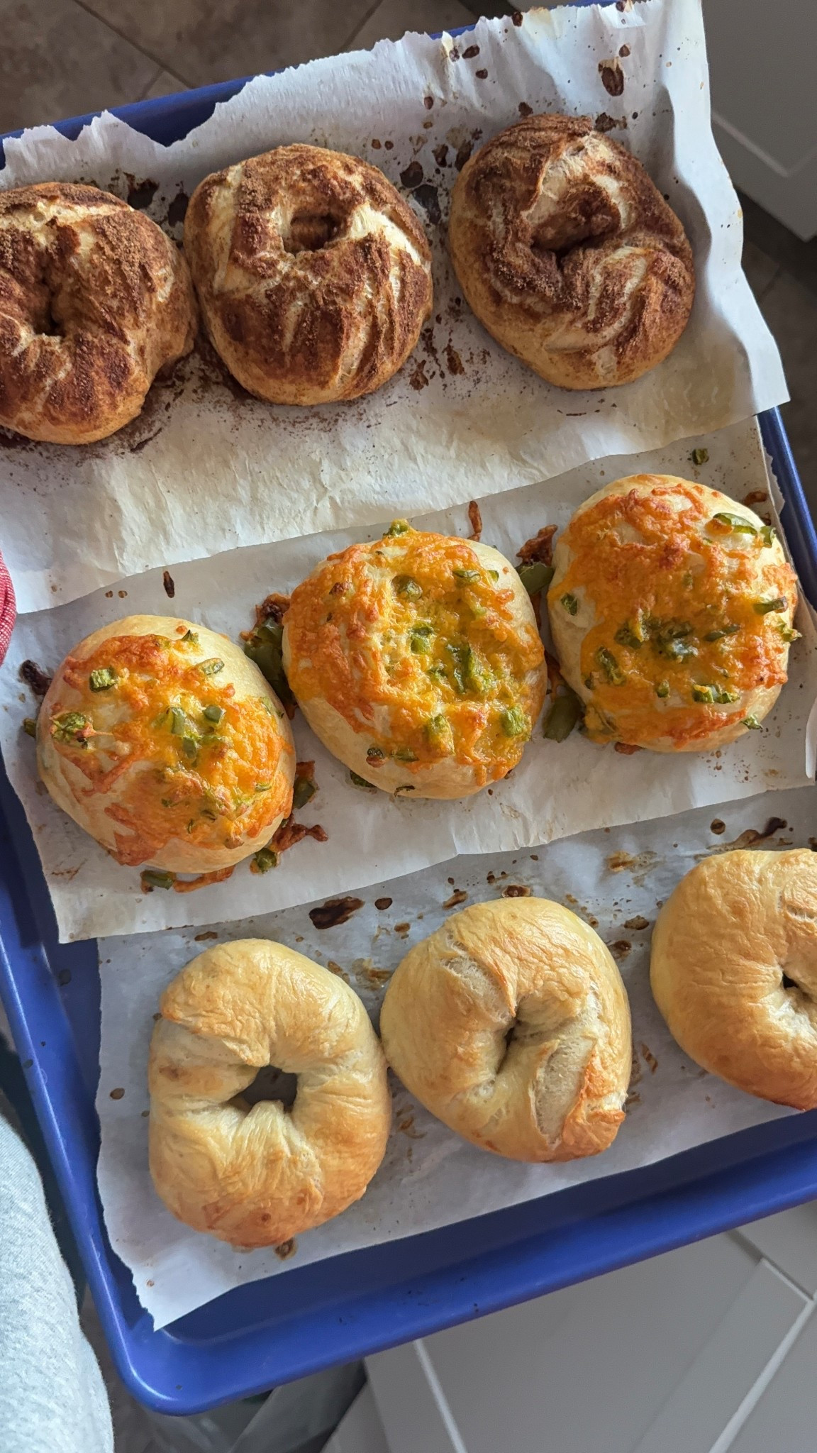 The freshest bagels on the best sheet pan ever!  Great Jones for the win🙌🏽 #cooking #greatjones #bagels 

#LTKHome #LTKmomlife #LTKfoodie