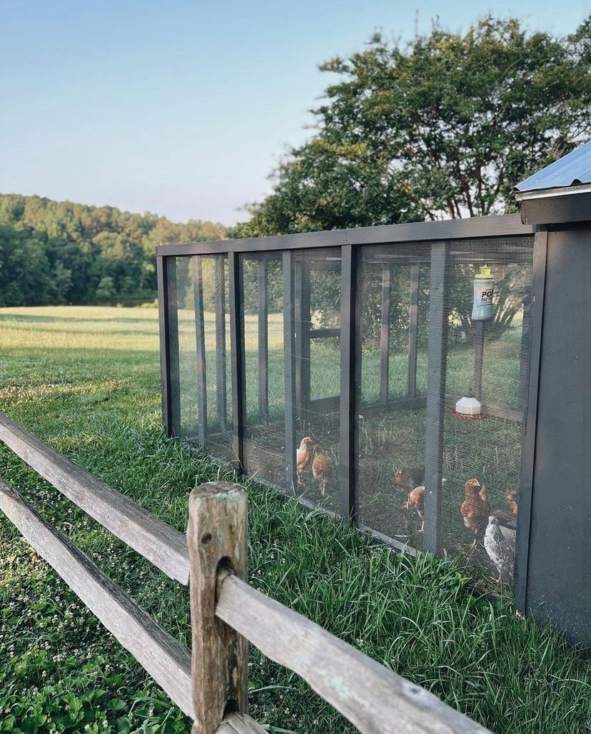 What we use for our chicken coop raising chickens chicken supplies

#LTKHome