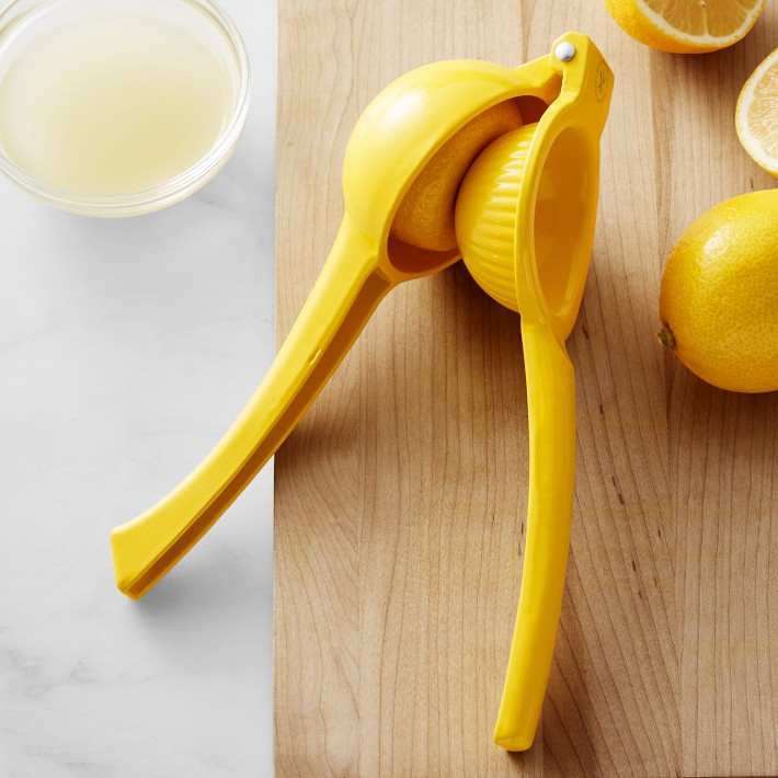 Open Kitchen by Williams Sonoma Lemon Press | Williams-Sonoma