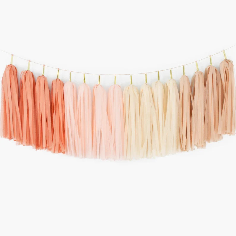 Terra Cotta Boho Tassel Garland ASSEMBLED Boho Rainbow Party | Etsy | Etsy (US)