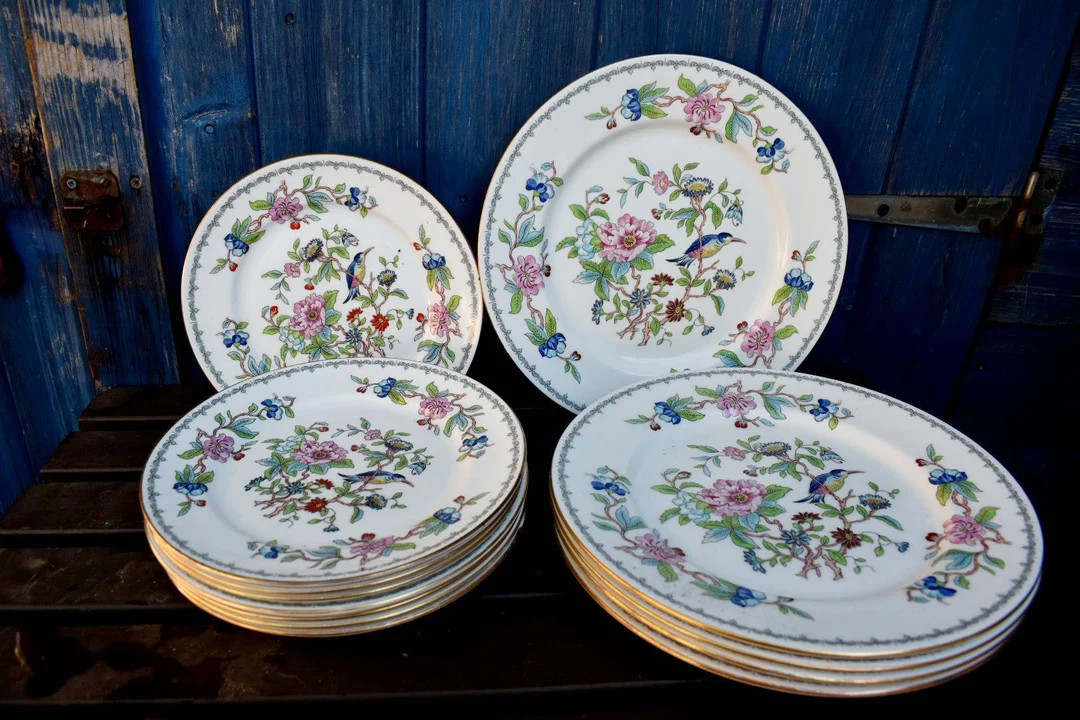 Aynsley Pembroke Dinner Plates and Side or Luncheon Plates, Dinner Service Dinner Plates - Etsy | Etsy (US)