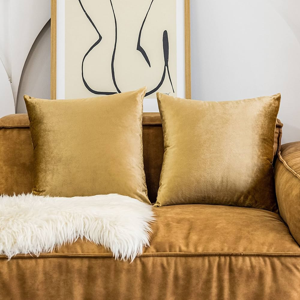 Home Brilliant Velvet Euro Shams Square Large Throw Pillow Covers Decor Decorative Pillow Cases f... | Amazon (US)