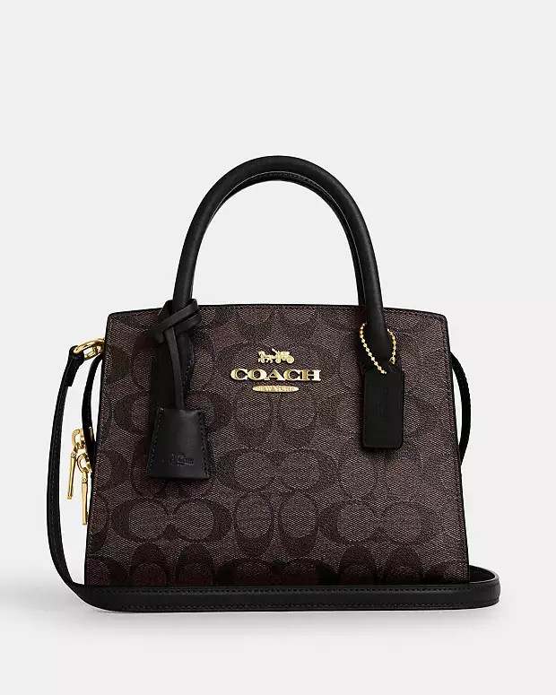 Andrea Carryall Bag In Signature Canvas | Coach Outlet US