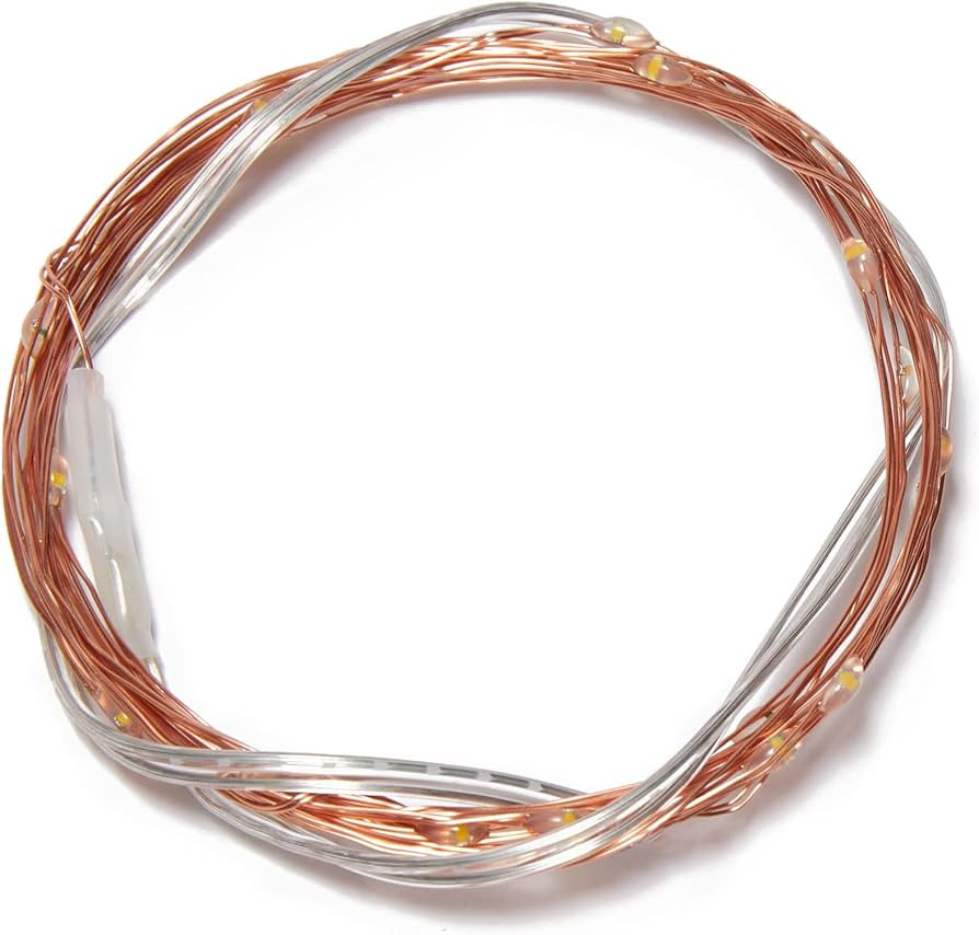 Amazon Basics 9ft 25 LED Fairy Lights, Battery Powered Outdoor String Lights, 2-pack (50 LEDs tot... | Amazon (US)