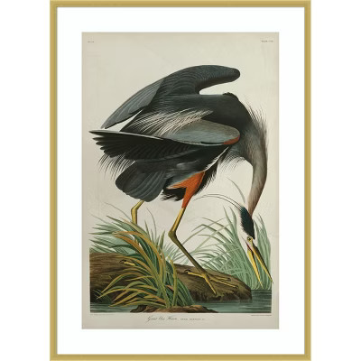Amanti Art Great Blue Heron in Pearl White by John James Audubon Wood Framed Wall Art Print 30 in. x 41 in. | Target