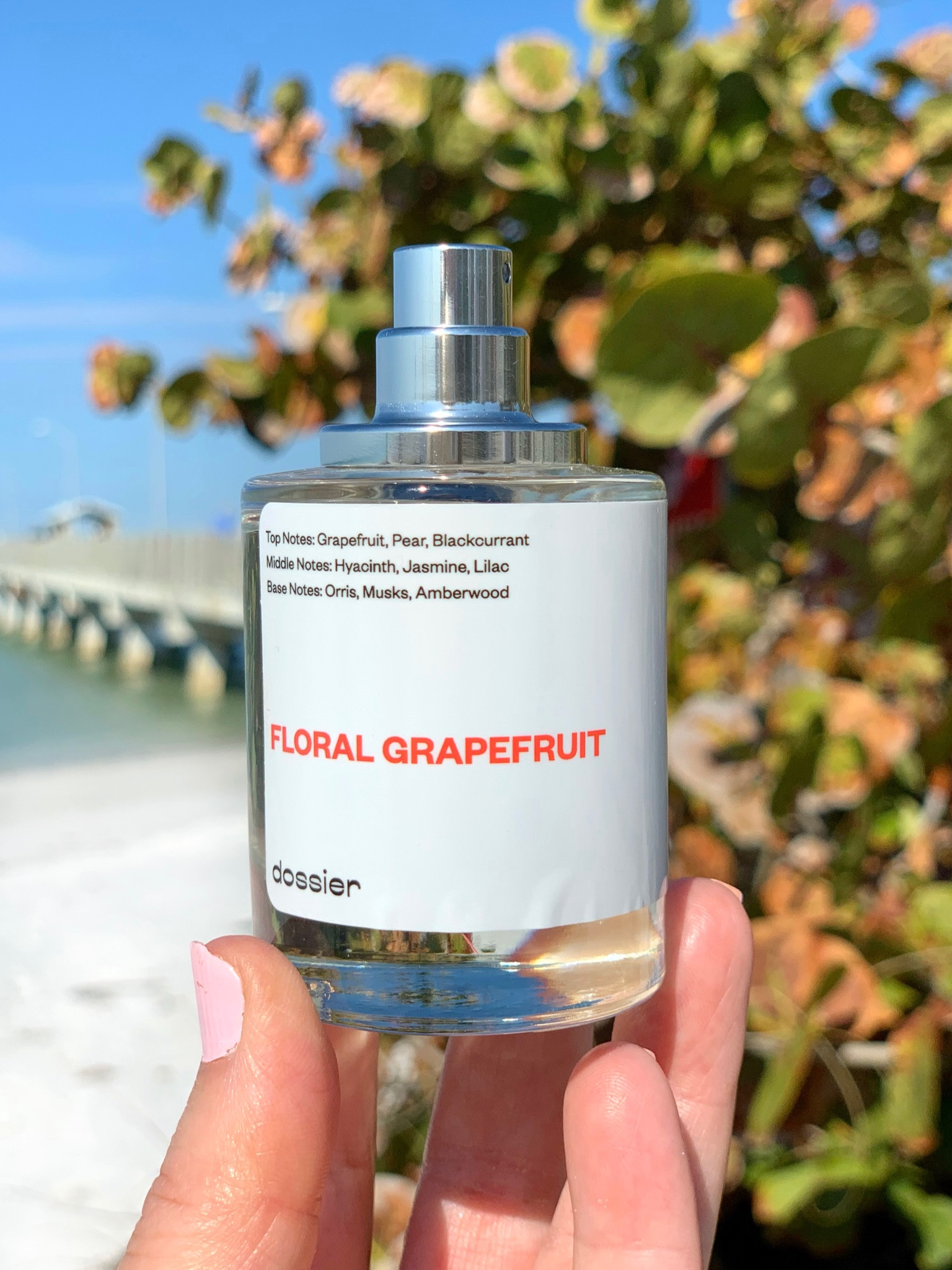Floral Grapefruit Inspired By … curated on LTK