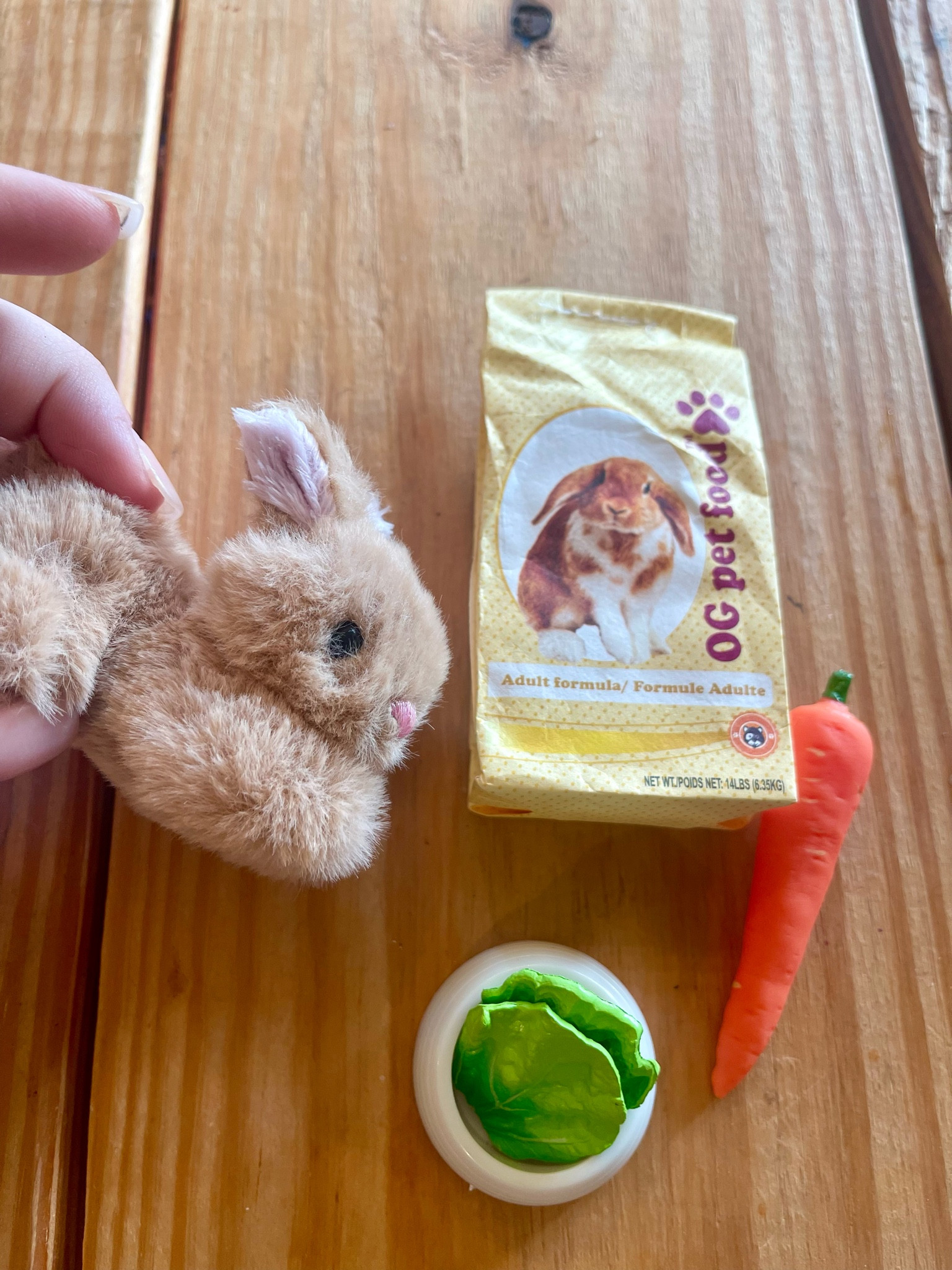 Sweetest little bunny pet! 🐰💚

#girls #kids #target #toys #pet #mygeneration 

#LTKkids