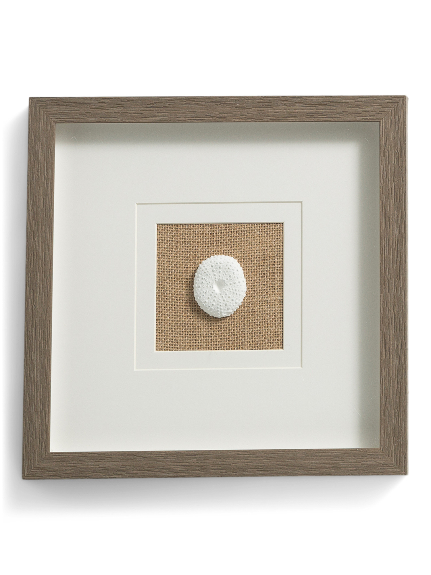 12x12 Resin Shell Art With Mat Linen Frame | TJ Maxx