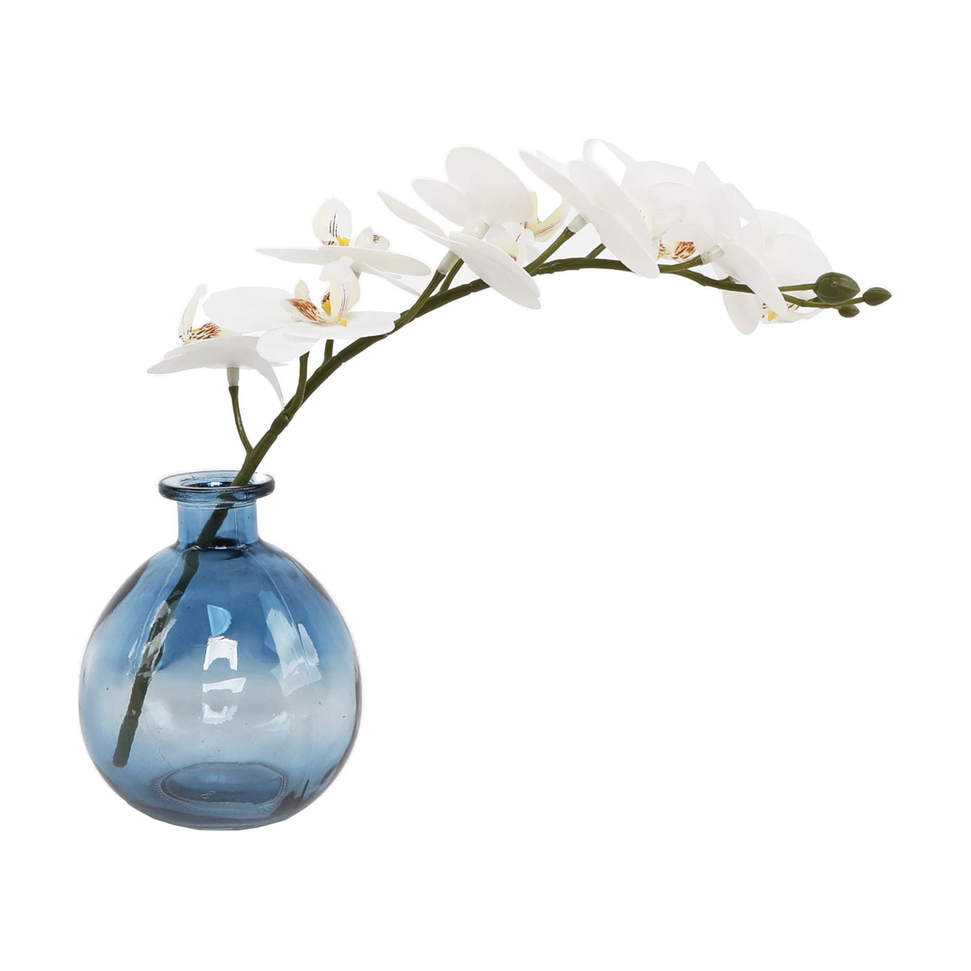 Flora Bunda 10.5 in H x 3.5 in W x 3.5 in D Real-touch Orchids in 3.5"D x 4"H Glass 3.5*3.5*4 | Walmart (US)