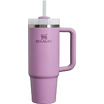 Stanley Quencher H2.0 FlowState Stainless Steel Vacuum Insulated Tumbler with Lid and Straw for W... | Amazon (US)