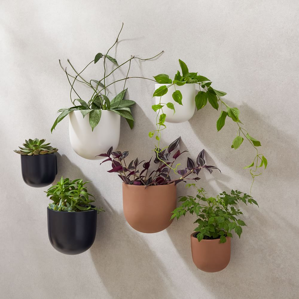 Ceramic Indoor/Outdoor Wallscape Planters | West Elm (US)