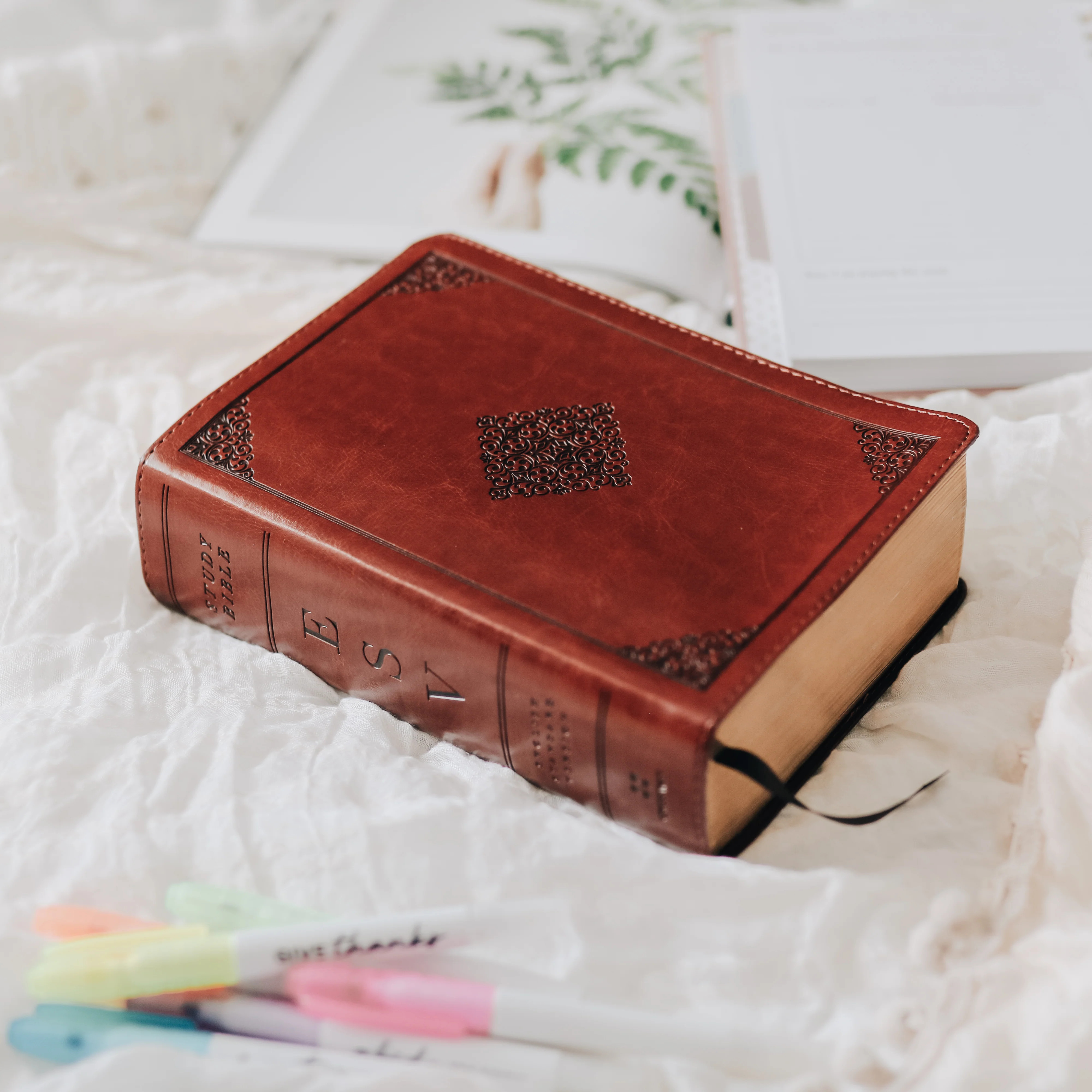 ESV Study Bible - Personal Size - Ornament Design | The Daily Grace Co.