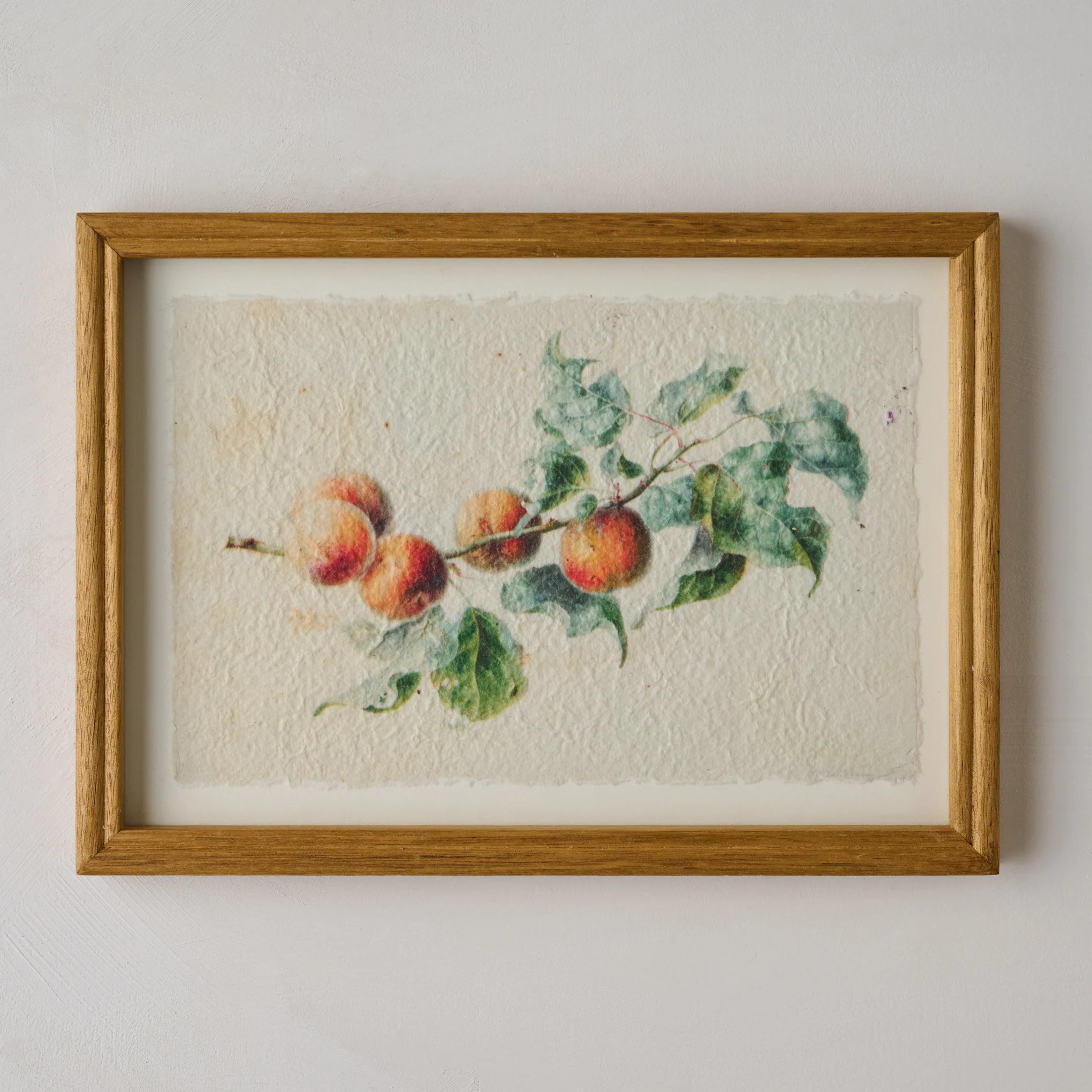 Heirloom Peach Study | Magnolia