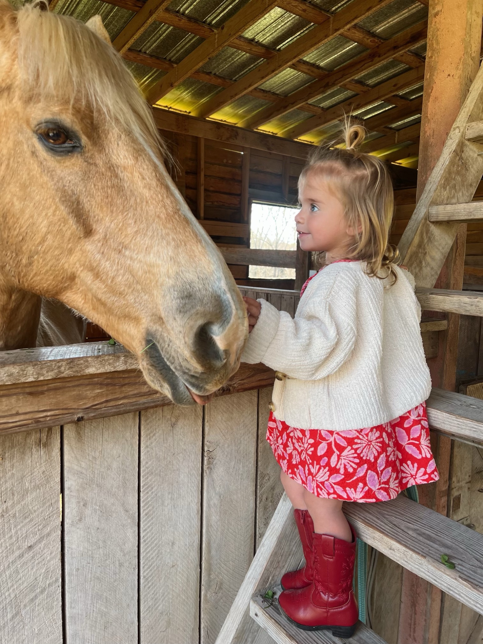 Sunday 🐎❤️🐴 

#LTKbaby #LTKkids #LTKfamily