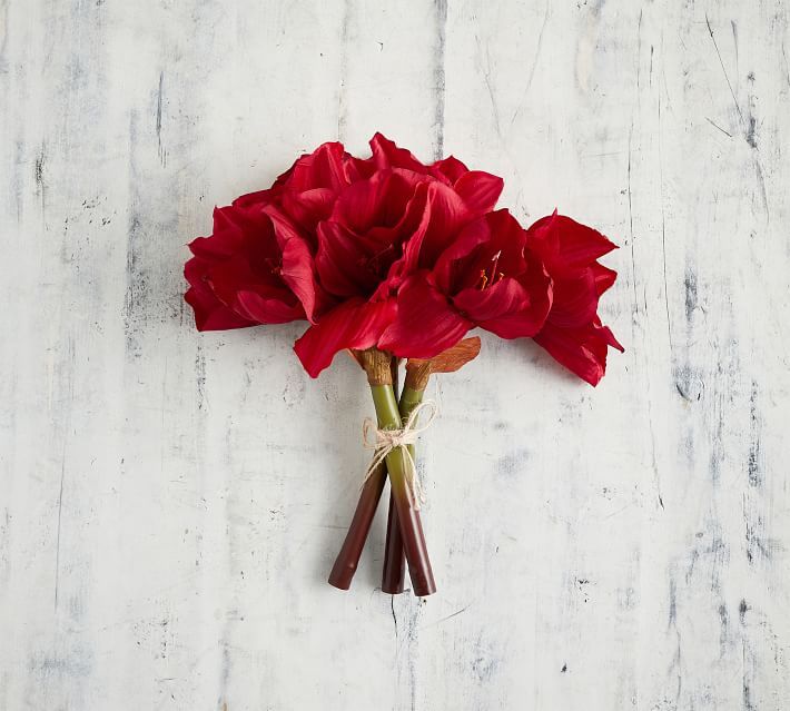 Faux Amaryllis Bouquets, Red - Set Of 2 | Pottery Barn (US)